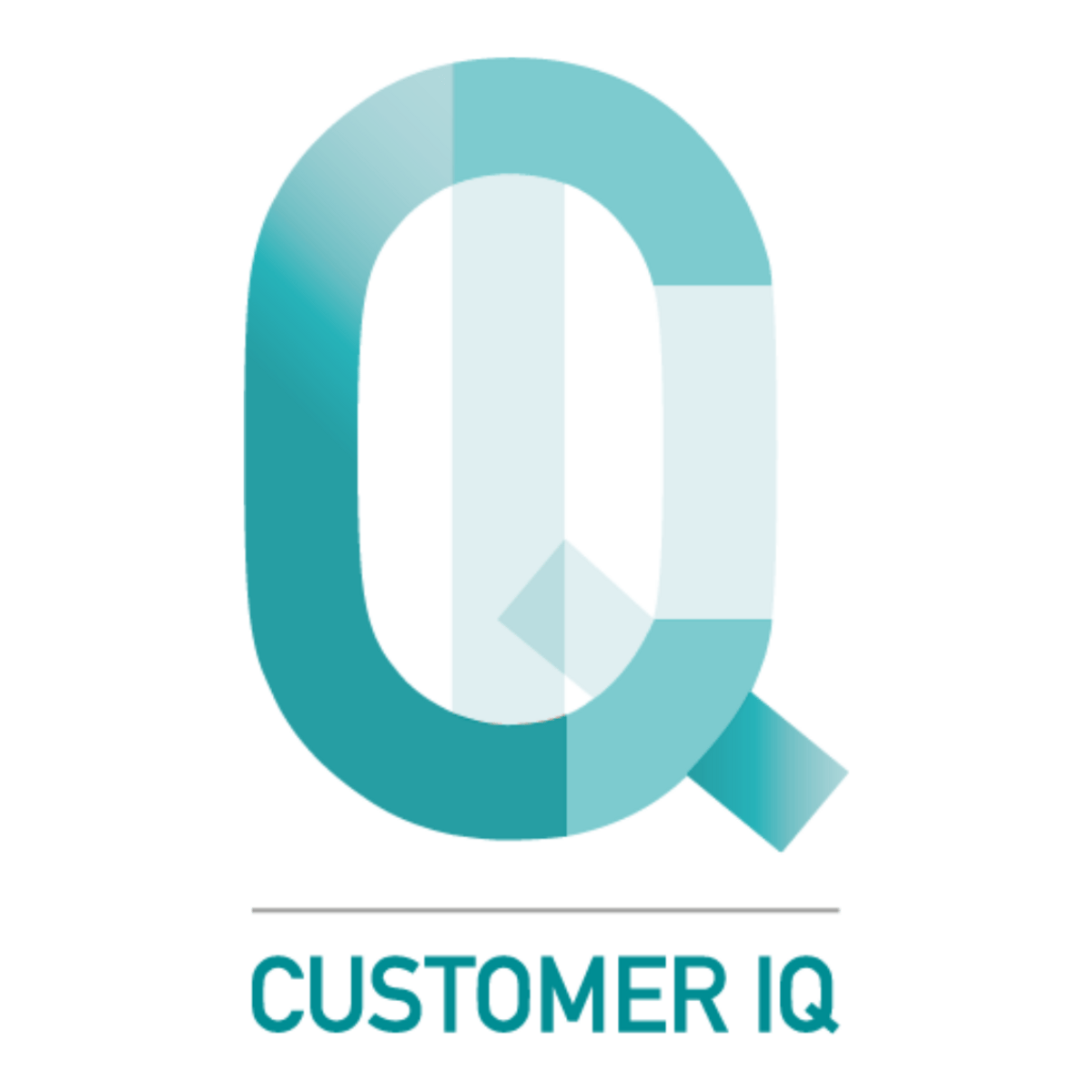 5 Things from Customer IQ