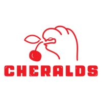 Code, coffee, chaos logo