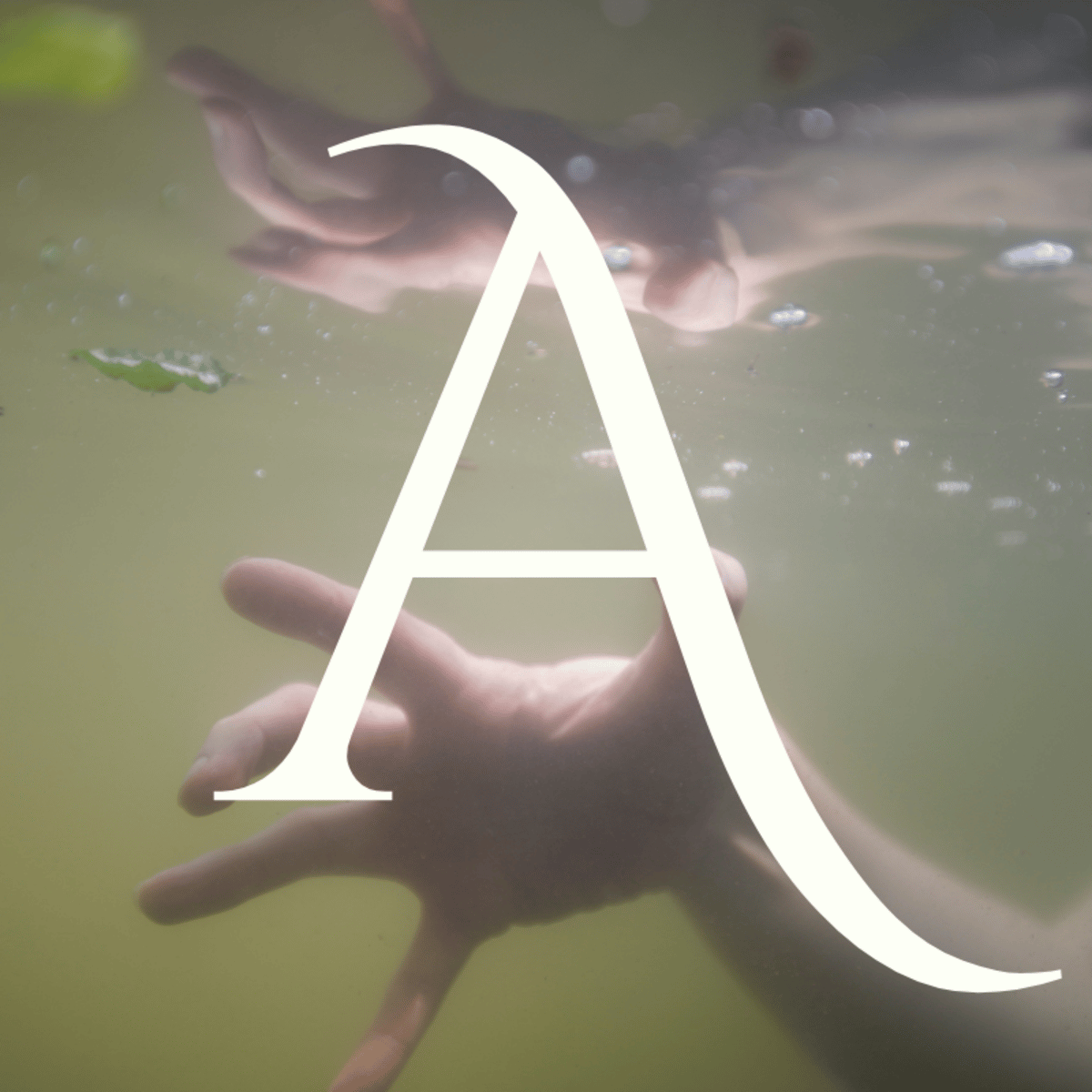 Avona