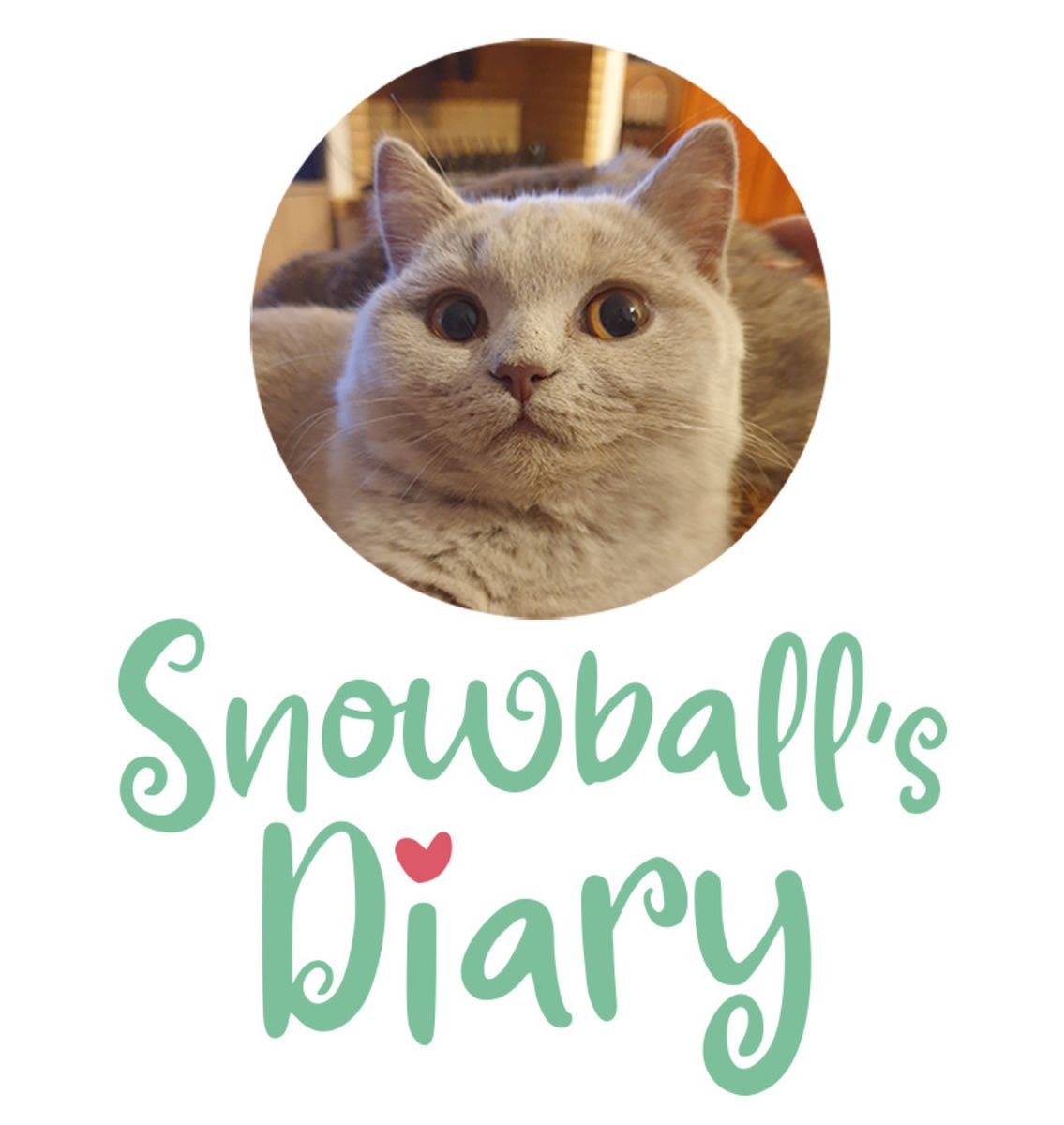 Snowball's Diary