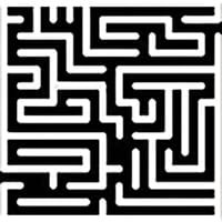 The Maze