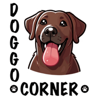 Discover the Canine World with Doggocorner