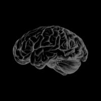 Advanced Mindset logo