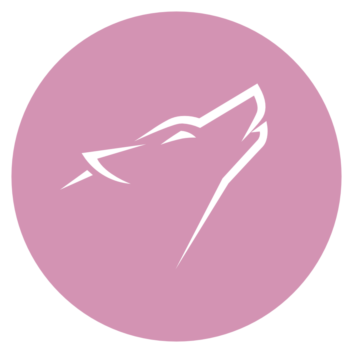 Light Wolf Studio News
