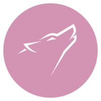 Light Wolf Studio News logo