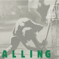Data Calling logo