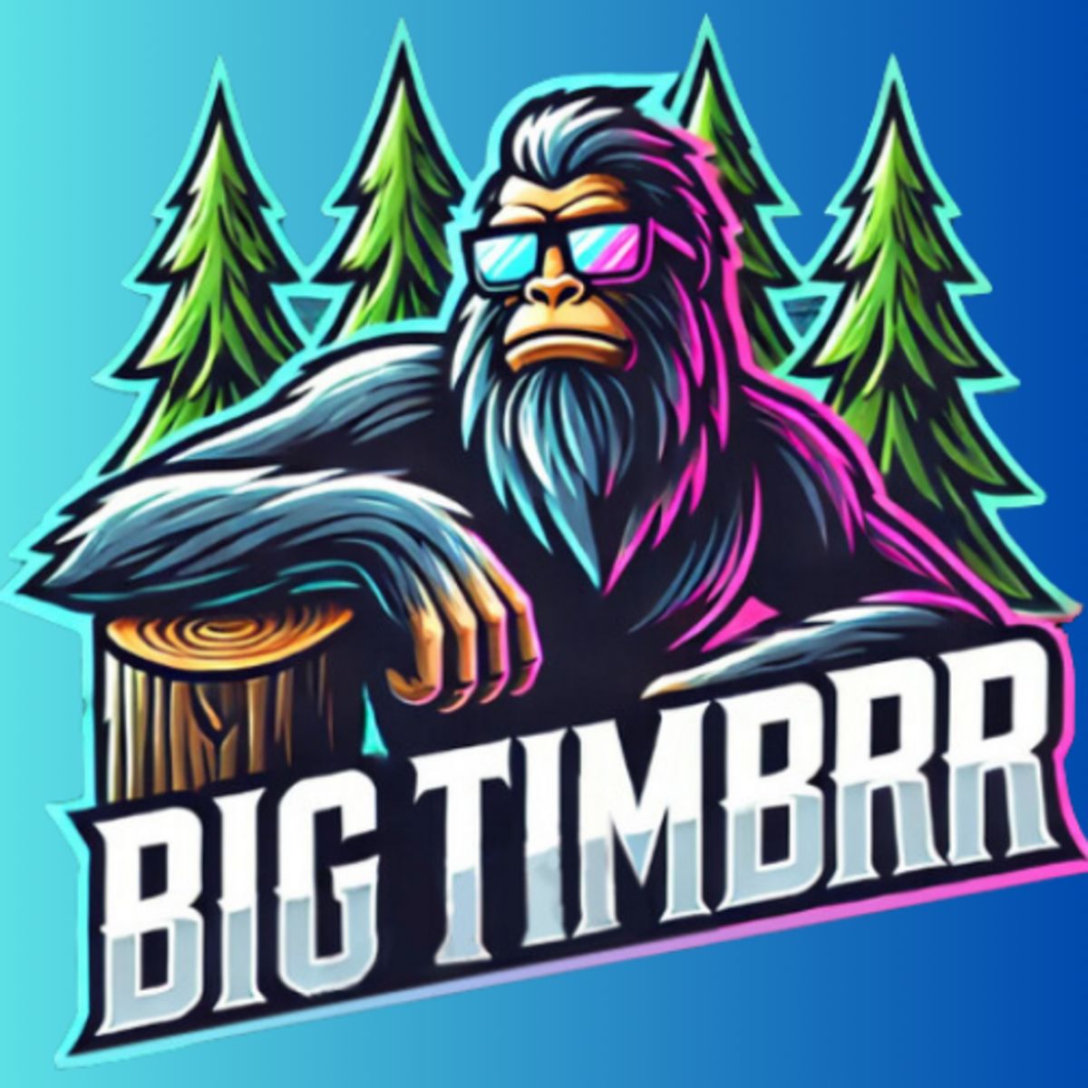 BIG TIMBRR