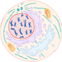 不專業學術閒聊