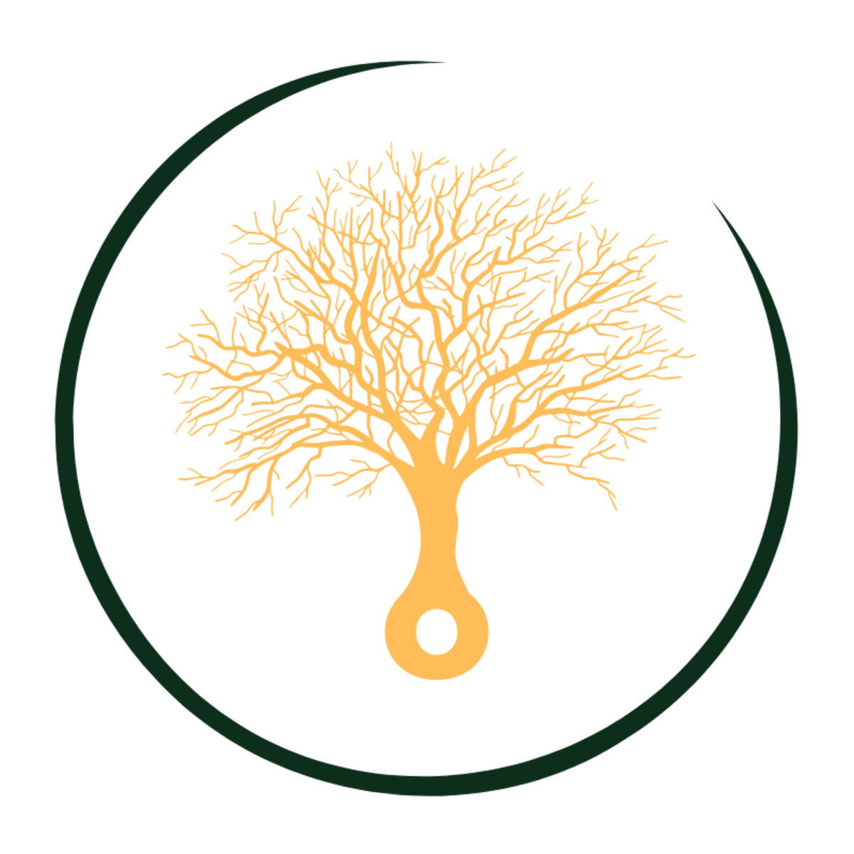 The Bitcoin Observer