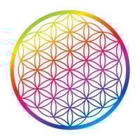 Soul Spark Daily logo