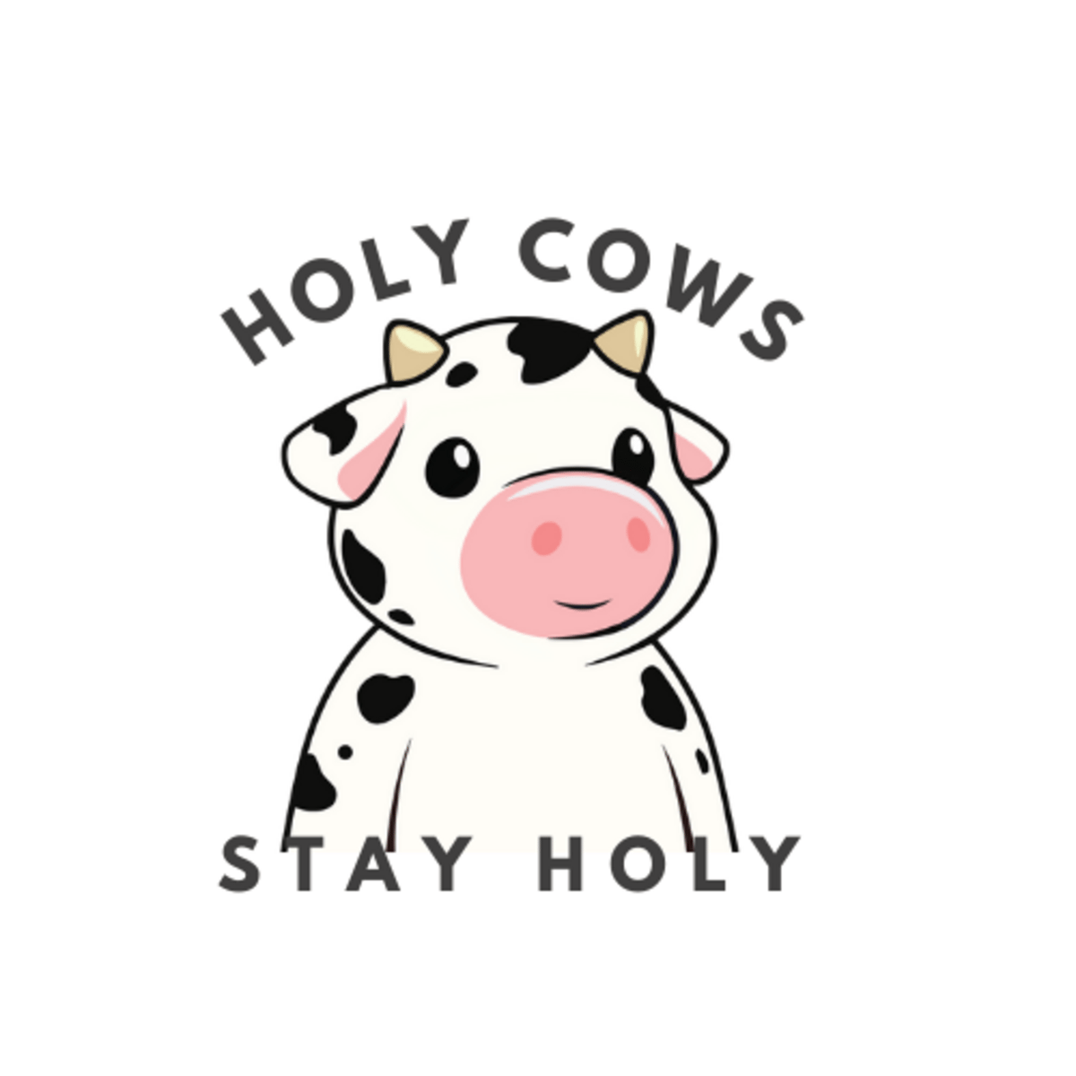 Holy Cow Post