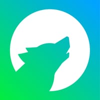 The WOLF Sports Newsletter