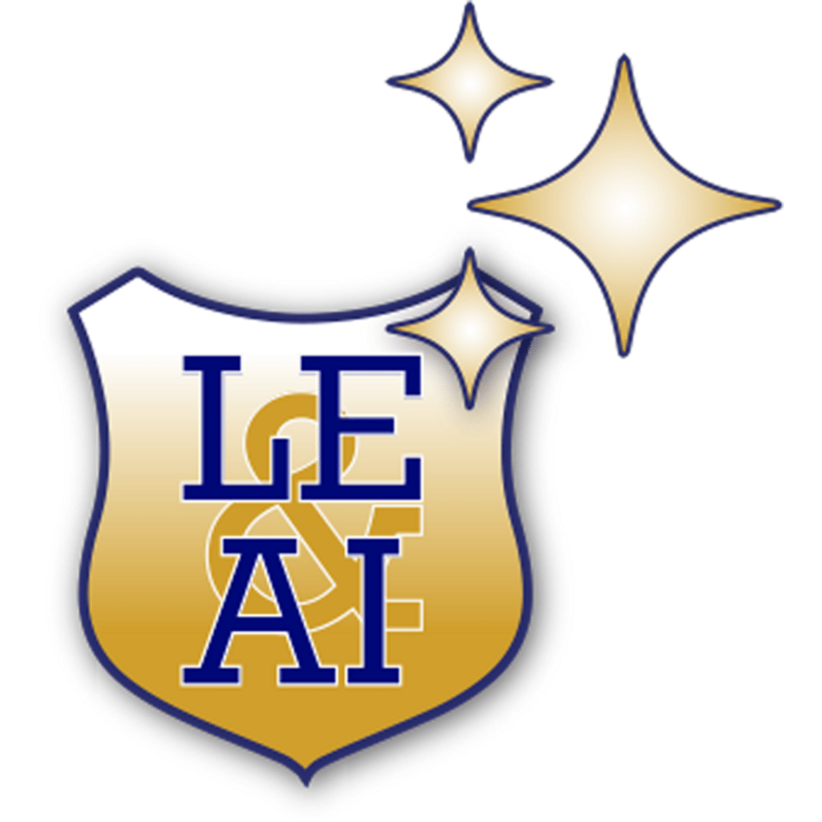 Law Enforcement & AI