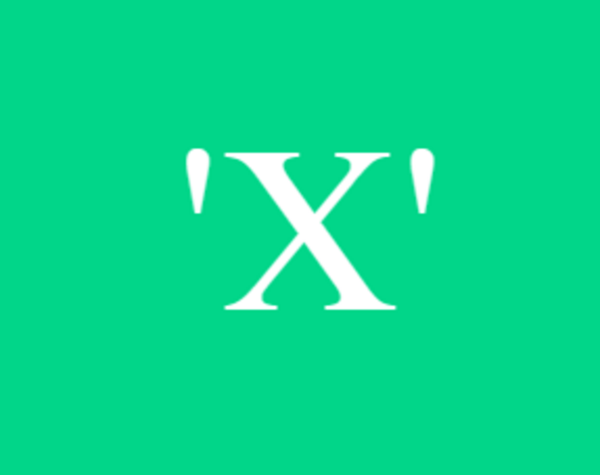 Business 'X'