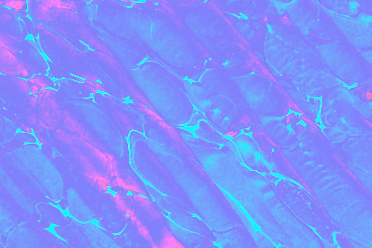 Make Art Smarter, Not Harder