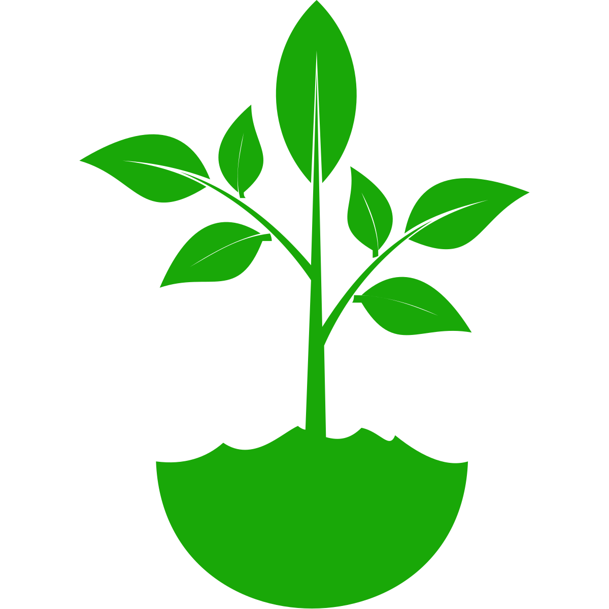 IBD Vegan's Newsletter