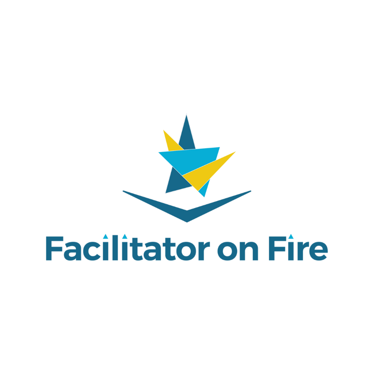 Facilitator On Fire