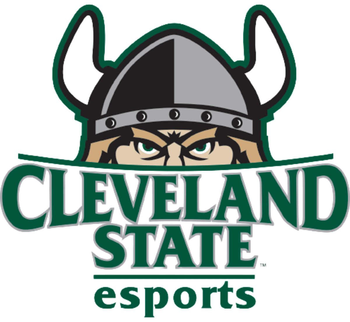 Cleveland State University Varsity Esports