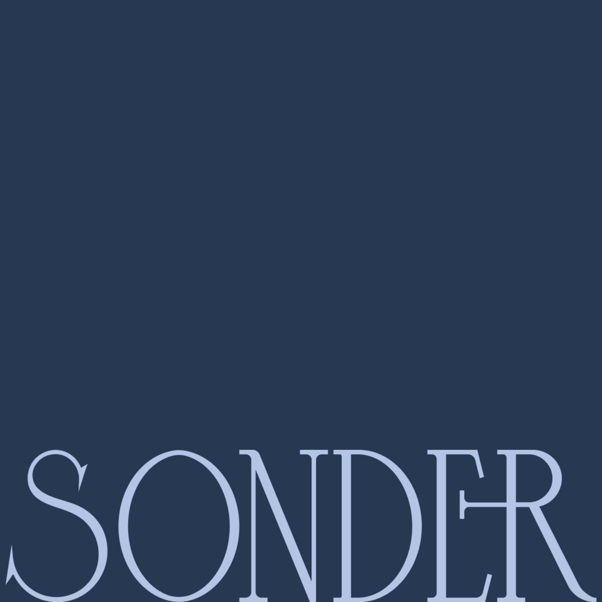 Sonder Management
