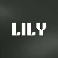 Lily: The Brazilian Tech Job Community