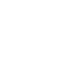 DOWN THE LINE logo
