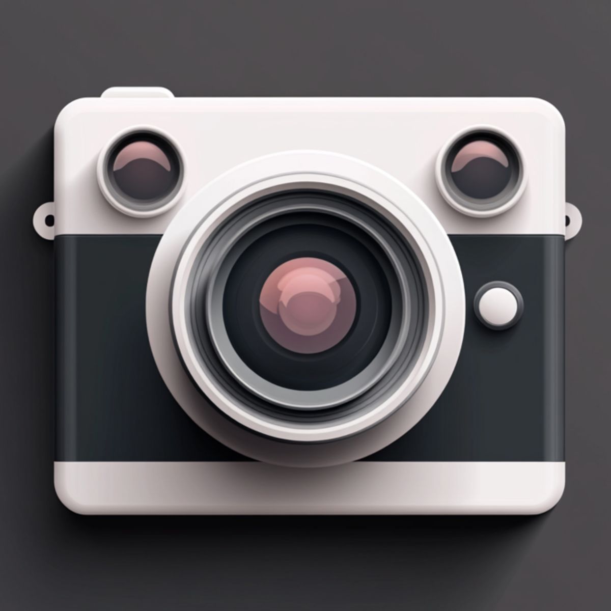The Fine Art of Photography
