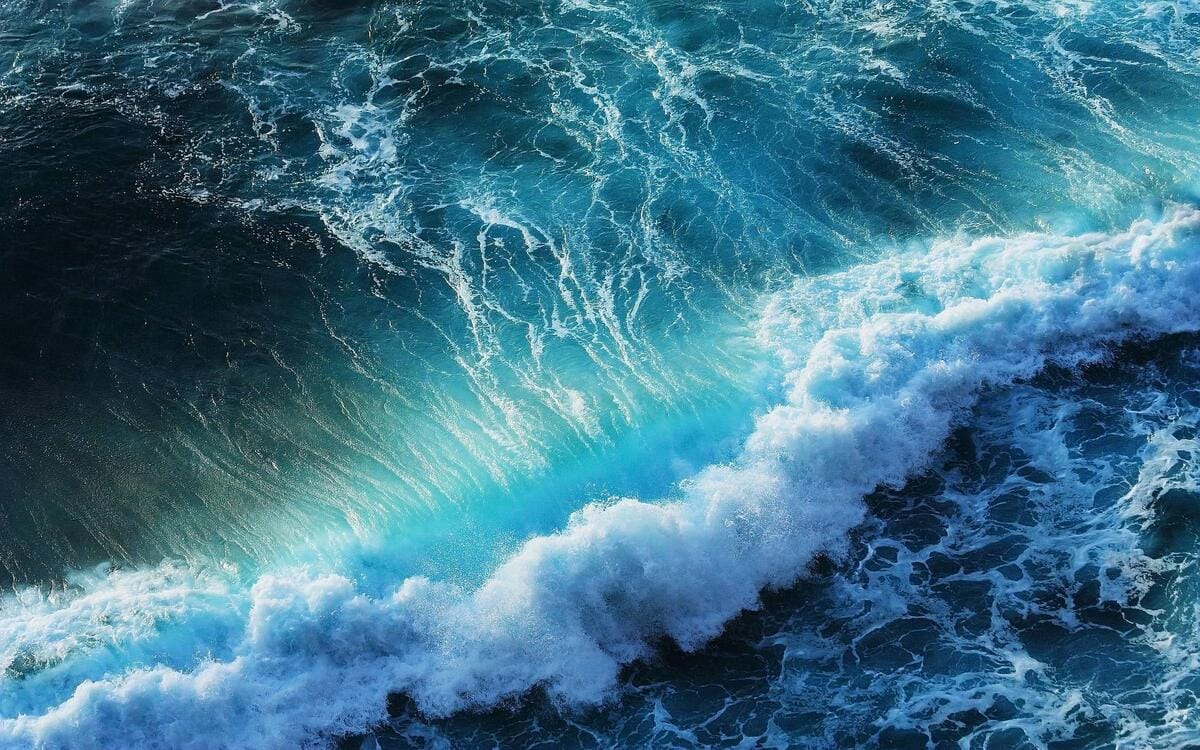 The Rinse