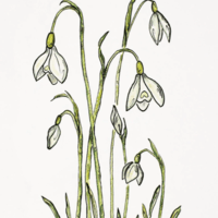 ♡ GHOSTBRUNCH ♡ logo