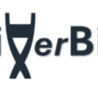BiVerBio's Newsletter logo