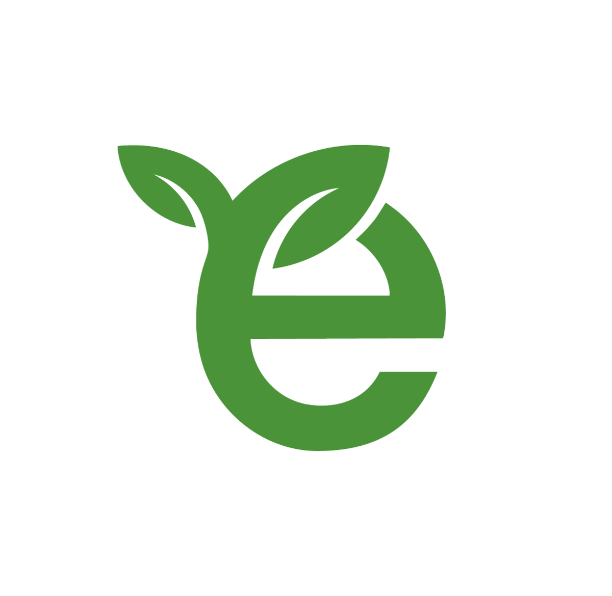 Energy Efficiency Ireland