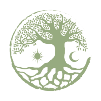 The Village Effect logo