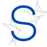 Seeds of Change Consulting Newsletter logo
