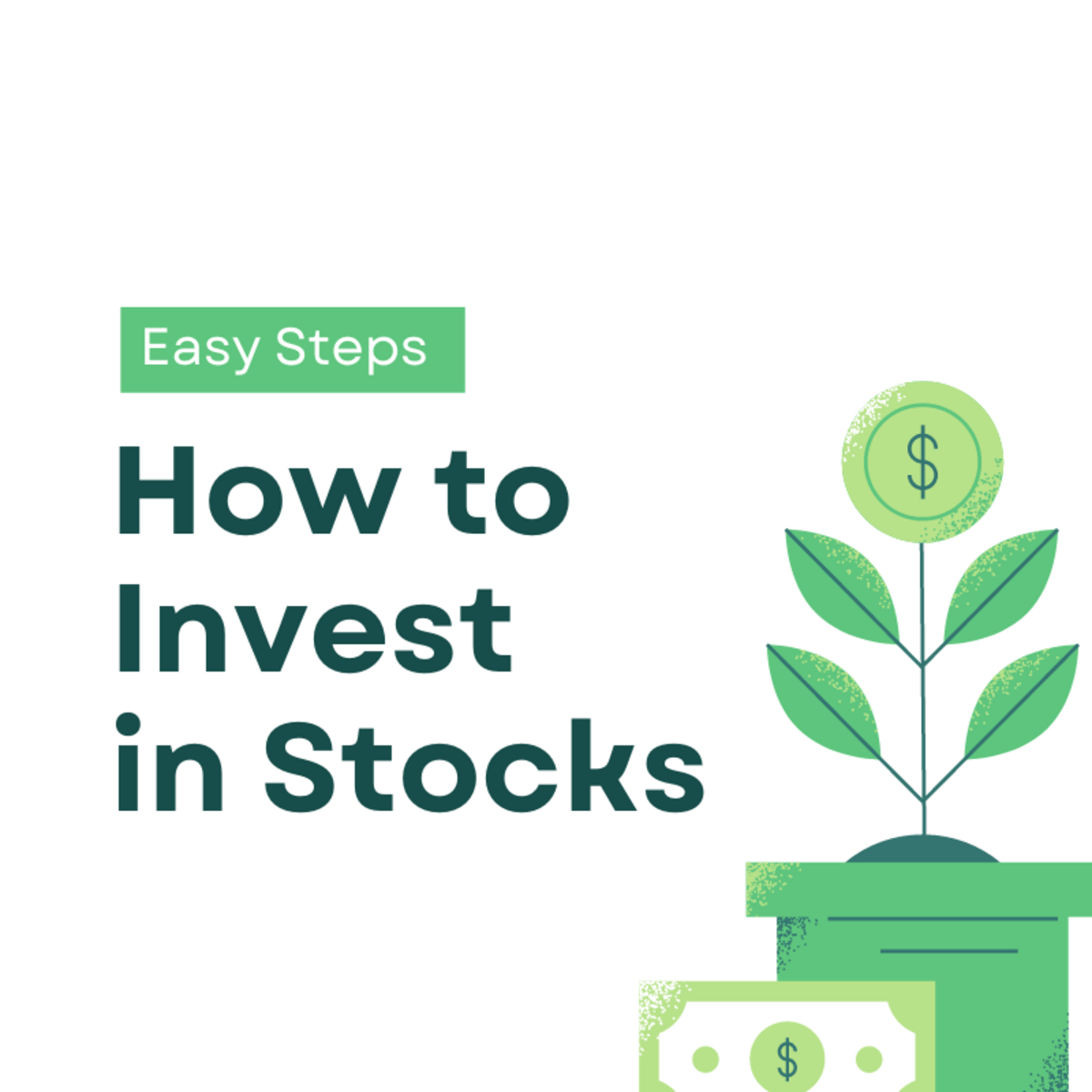Stocks For Beginners