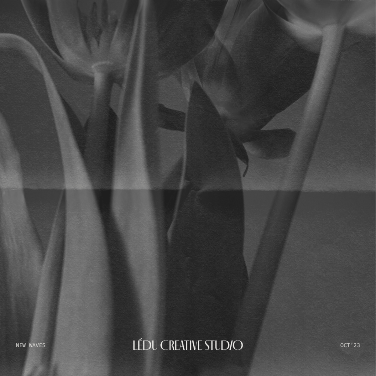 LÉDU CREATIVE STUDIO