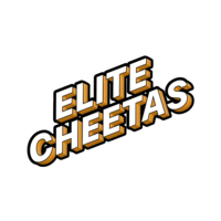 Elite Cheetahs logo