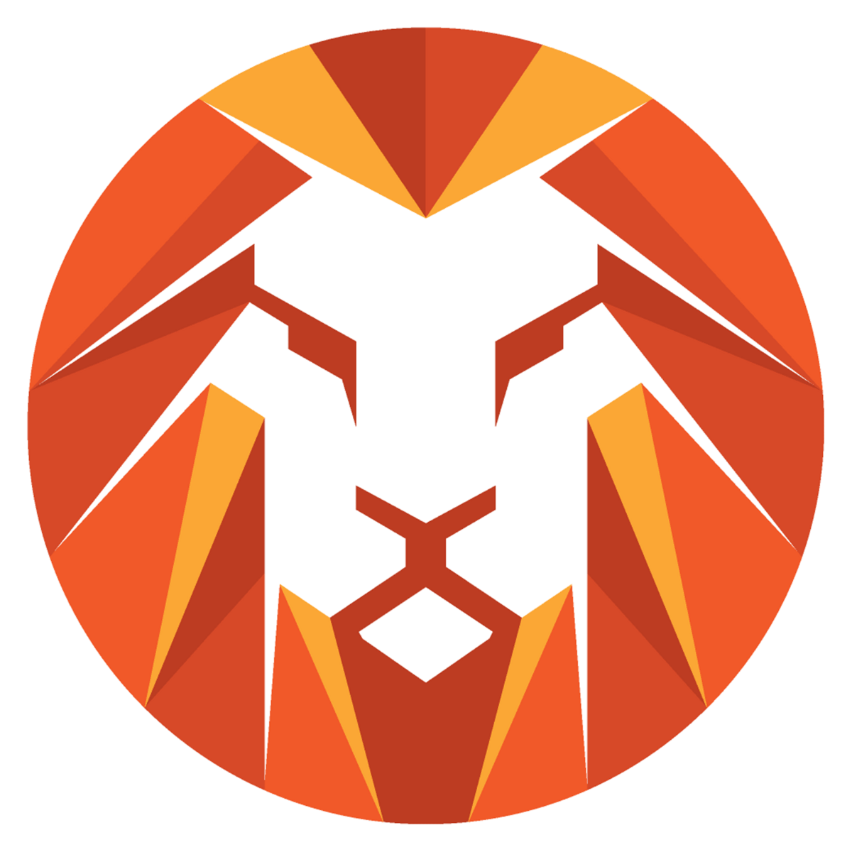 The Creator Lookout 👀