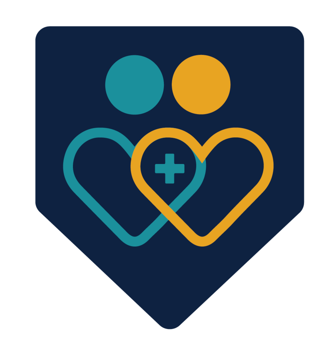 The Patient Experience Strategist