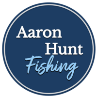 The Bait Finesse Bulletin