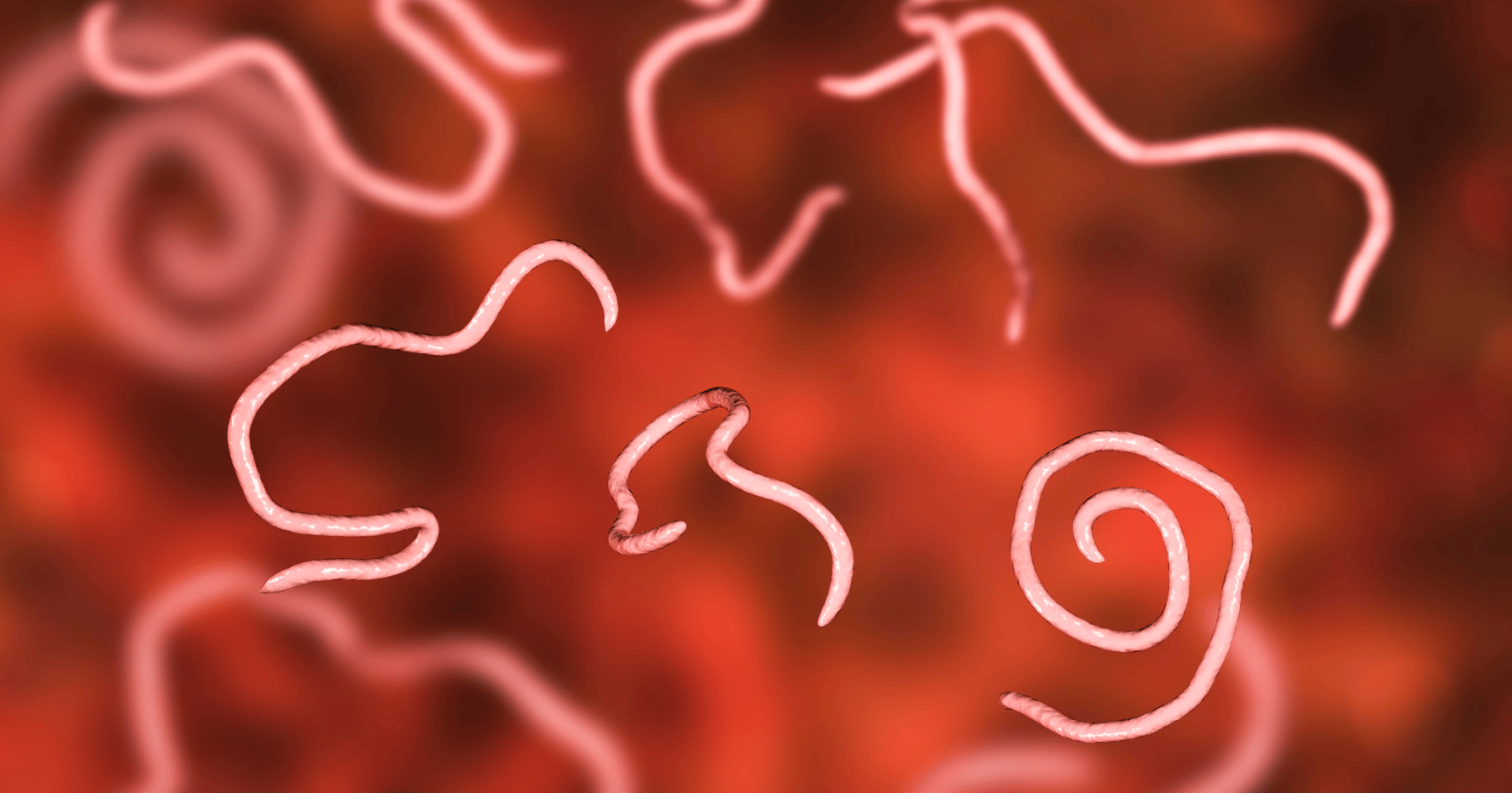 Adventuring through the Canadian Rockies