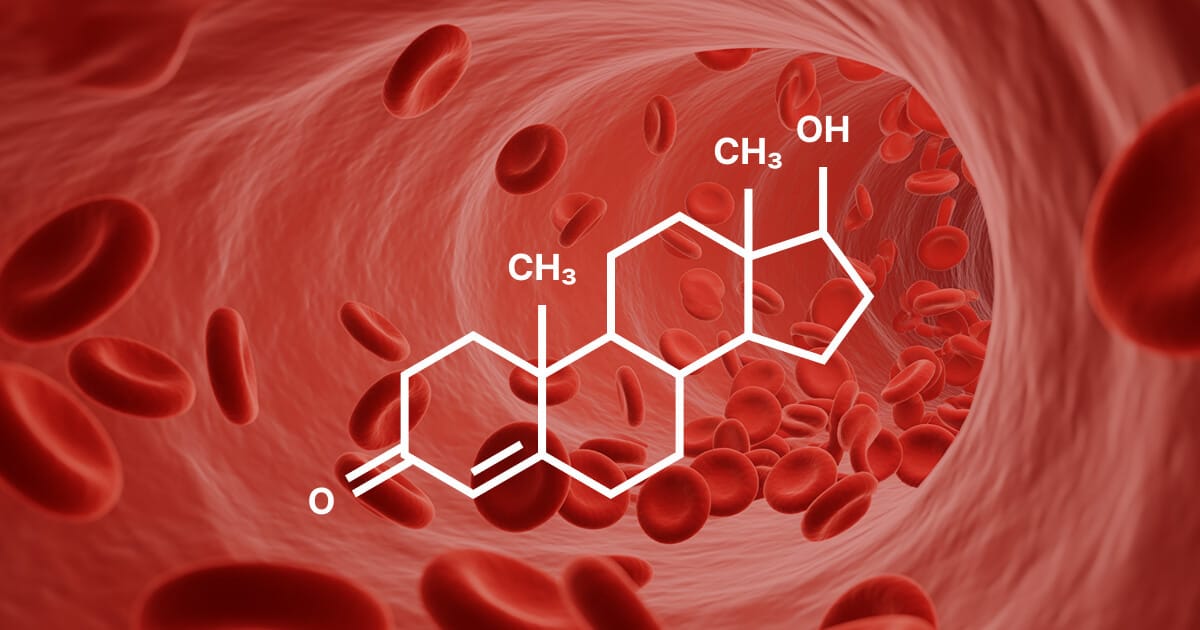 Adventuring through the Canadian Rockies