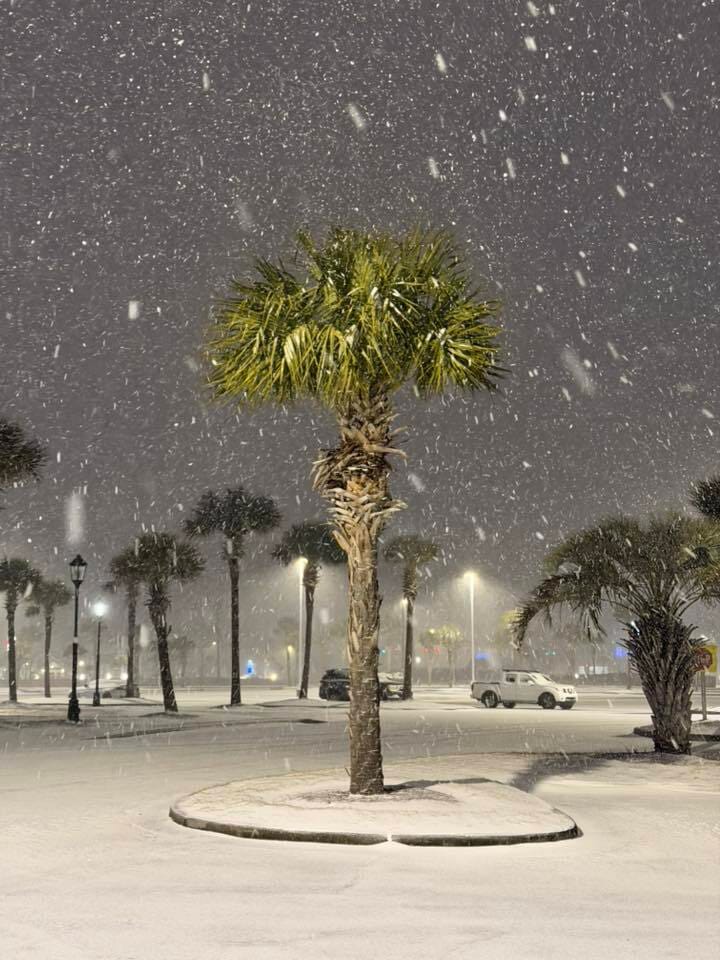 🏖️Myrtle Beach happenings and events week of 2/1/26