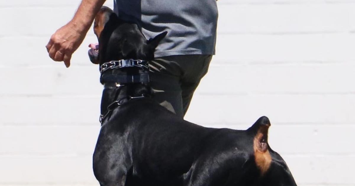 Adventuring through the Canadian Rockies