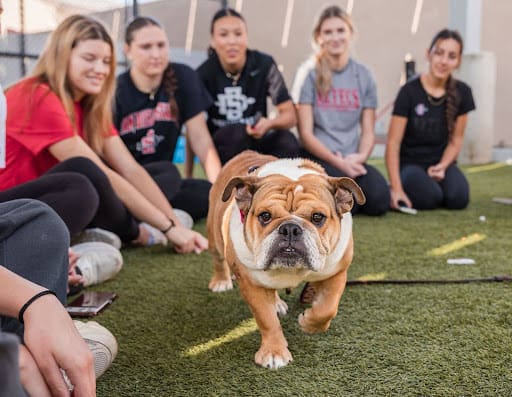 Beyond the Game: Aztecs Serve San Diego 