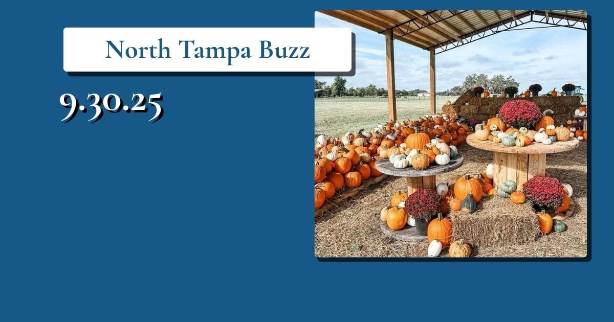 Adventuring through the Canadian Rockies