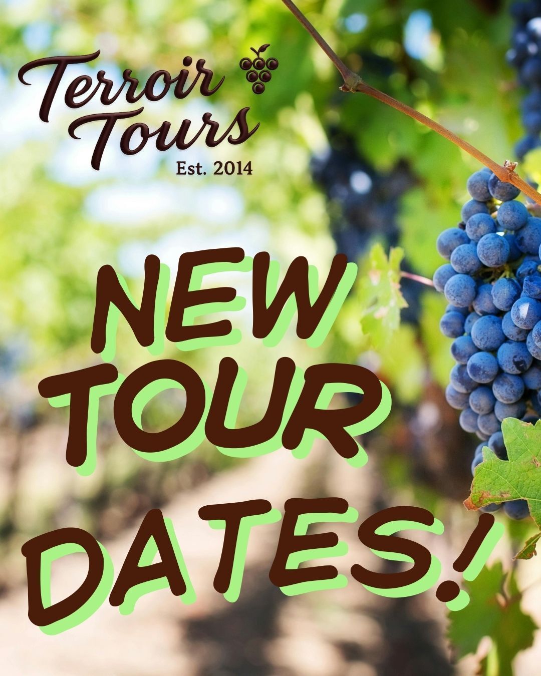 ✈️ Perks & Rec: January 2026