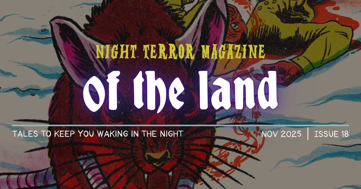 NIGHT TERROR MAGAZINE: Issue 18, Out Now!