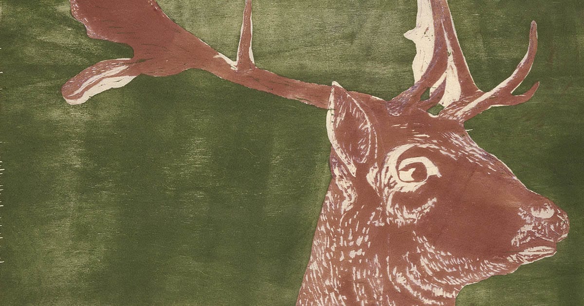 Adventuring through the Canadian Rockies