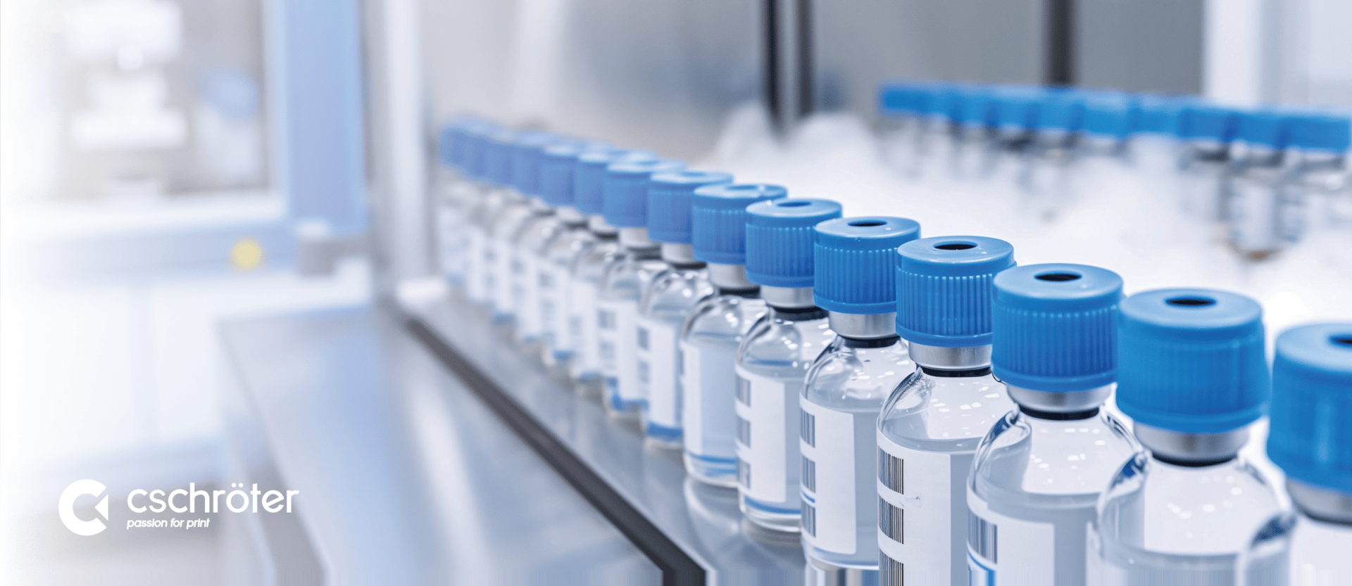 Adventuring through the Canadian Rockies