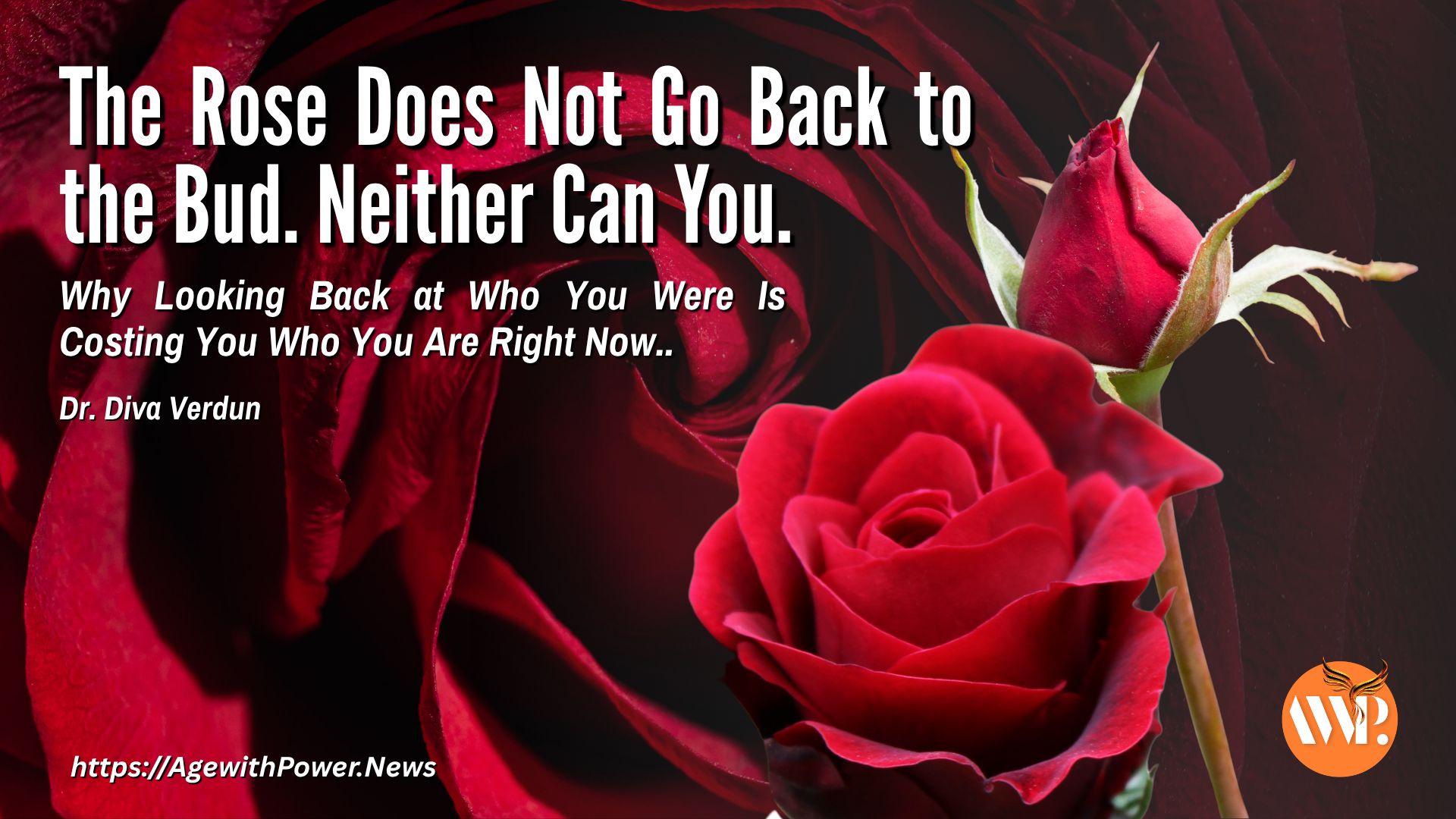 The Rose Does Not Go Back to the Bud. Neither Can You.
