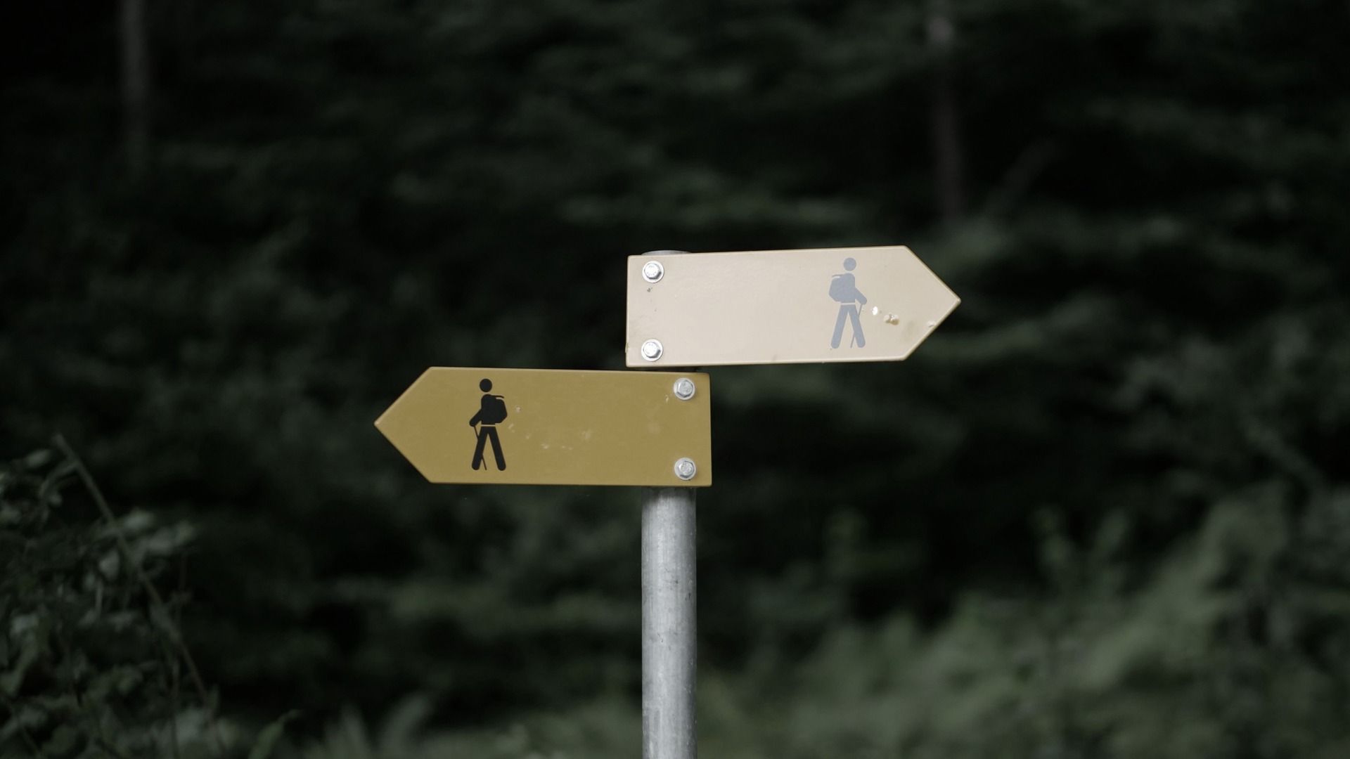 How to Make Better Decisions